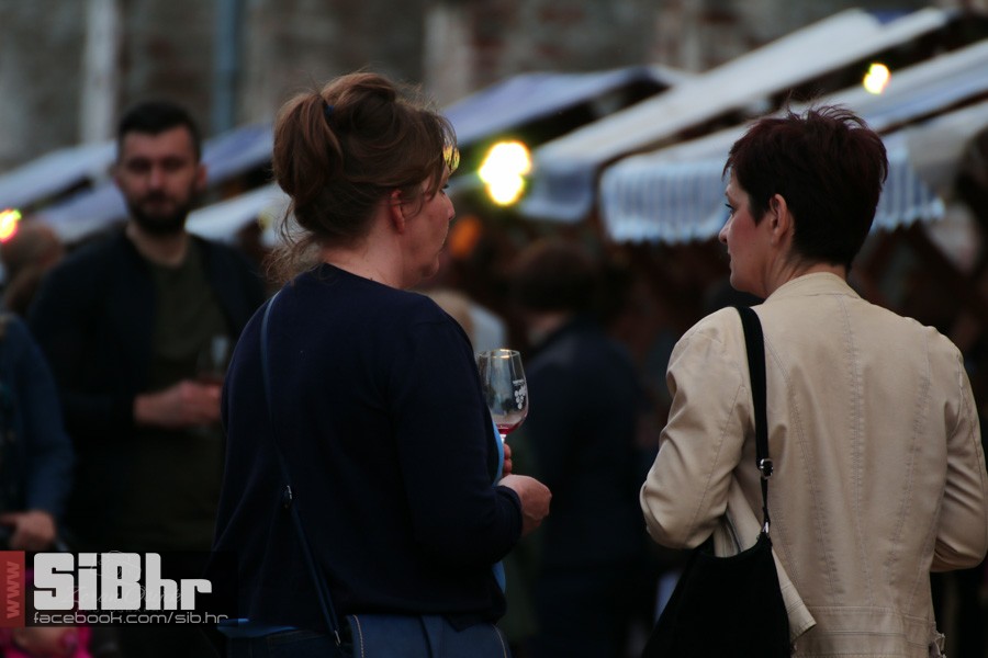 dani_vina_turizma_2016_sibhr_15