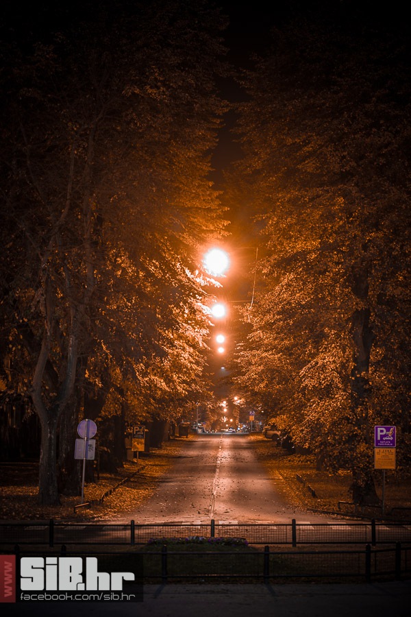 osjecka_jesen_19_21_10_2013_mba
