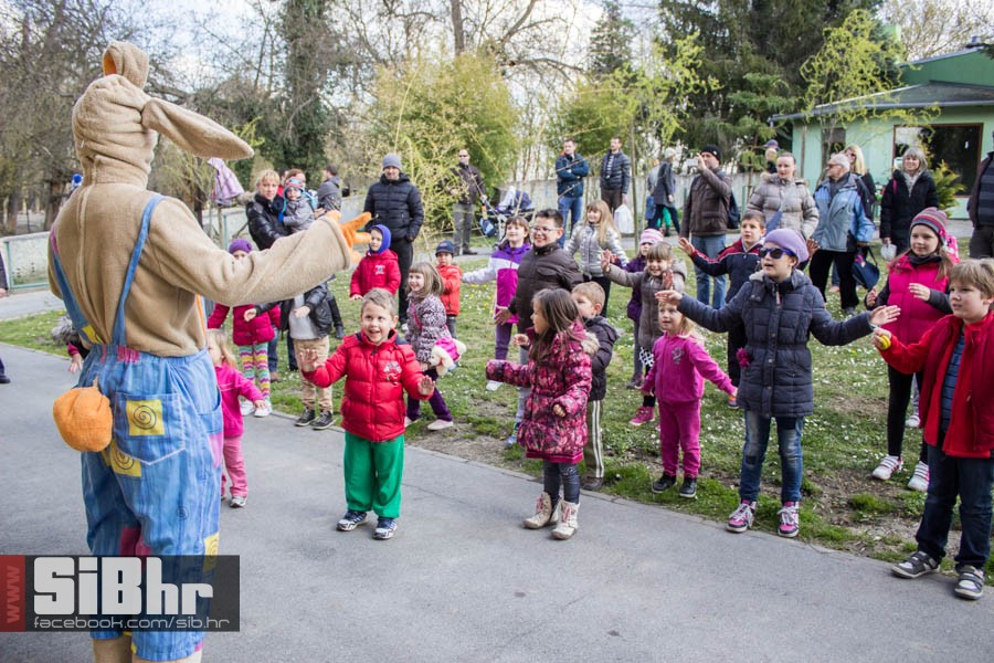 zoo_vrt_109