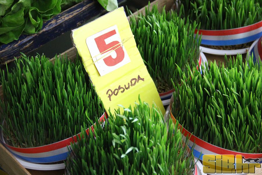 trznica_7_1_2012_sibhr_30