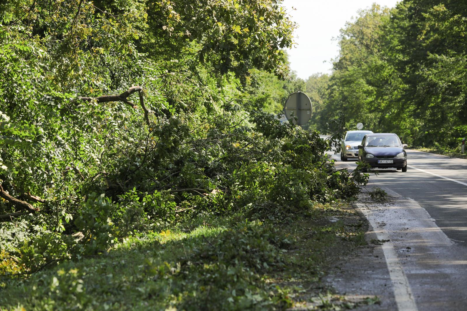Zatvorena D55 između Vinkovaca i Gradišta Zatvorena D55 između Vinkovaca i Gradišta