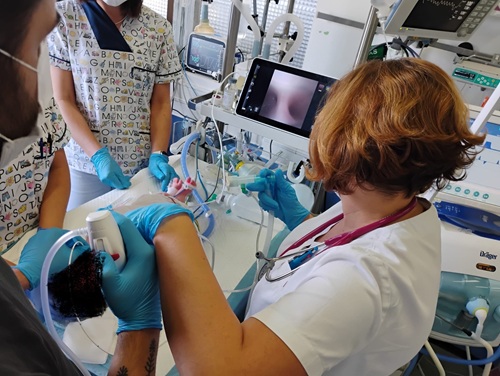 bronho11-1 bronho11-1