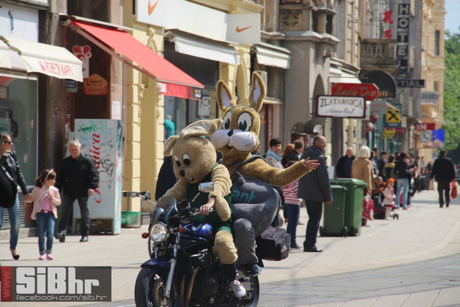 motozeke1804_zoran_osijek_2014_