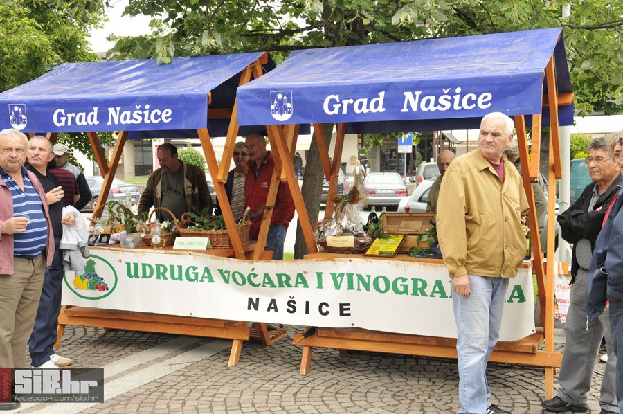 nasicedanhobija6
