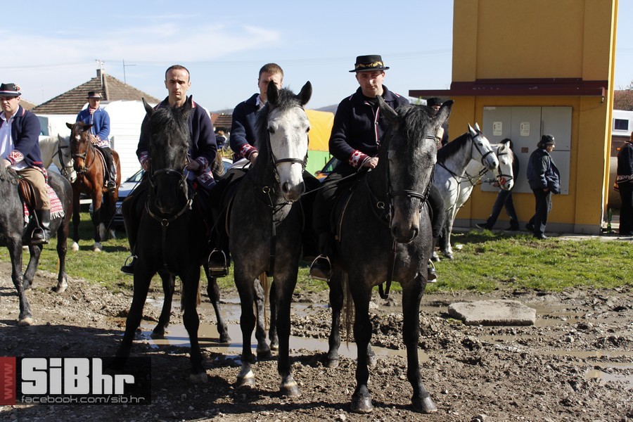 baranja_jahanje_3 baranja_jahanje_3