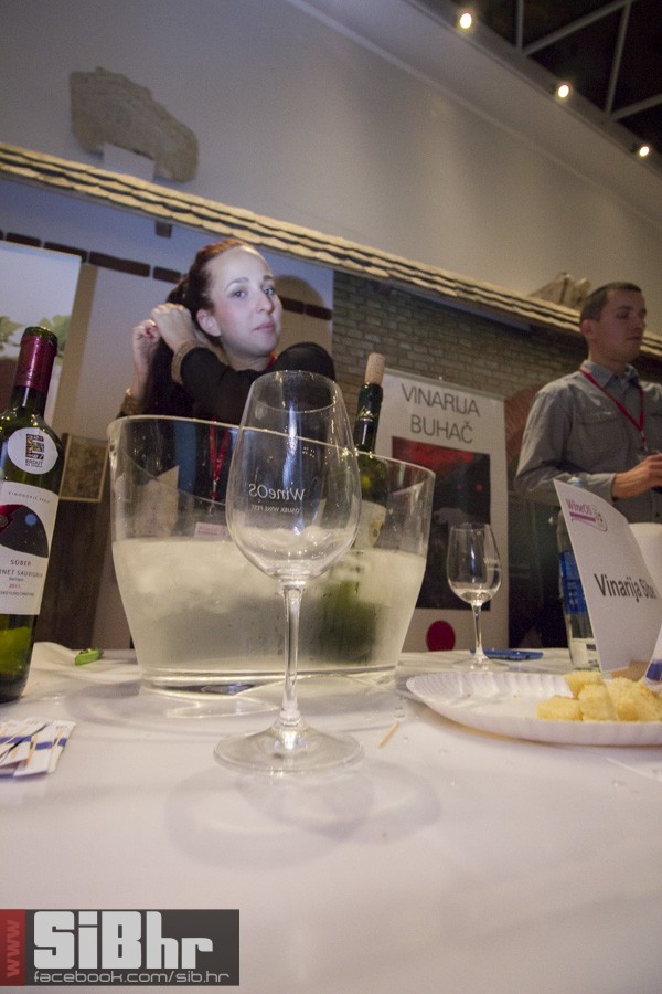 winefest_0612_2014_22