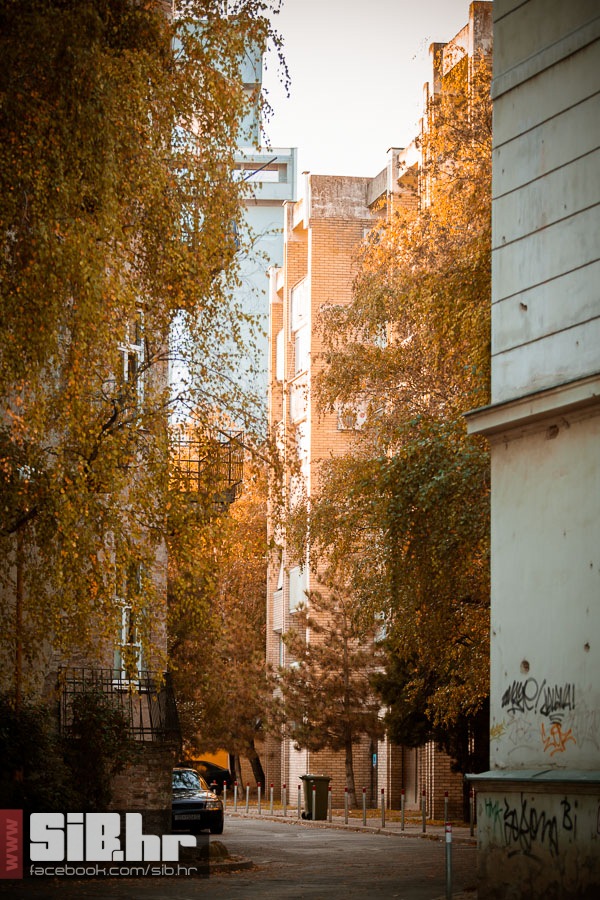 osjecka_jesen_19_21_10_2013_mba