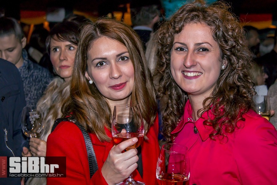 Vecer_vina_i_umjetnosti_SiB_hr-