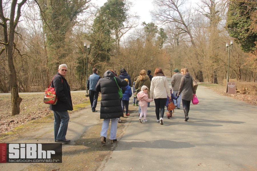 kopacki_rit_ozujak2015_SiBhr_18