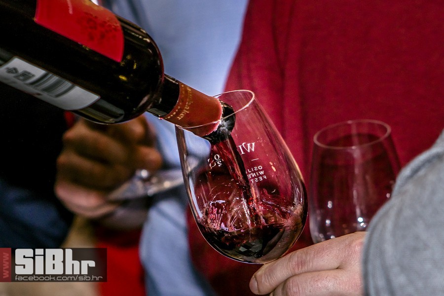 WineOS_fest_2019_SiB_hr-038