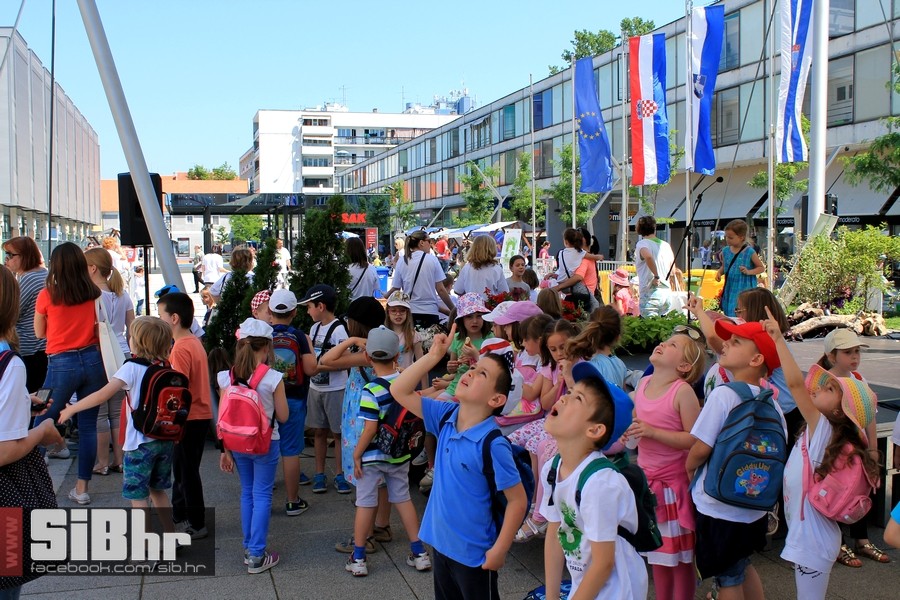 dan_zastitte_okolisa_40