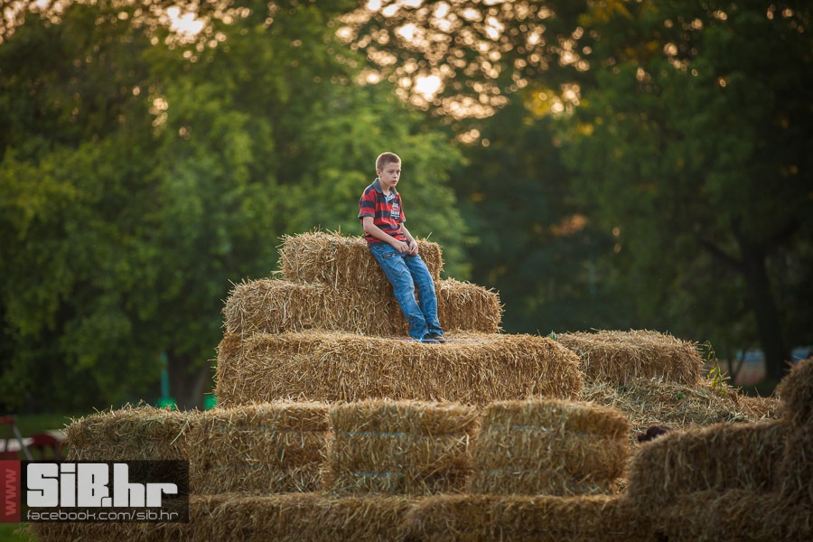 slama_pripreme_12072013_sibhr_m slama_pripreme_12072013_sibhr_m