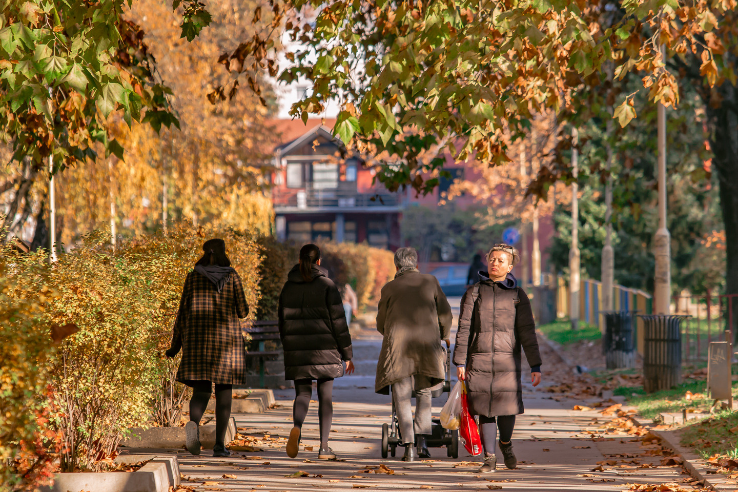 Legice i lege u nedjeljnoj šetnji
