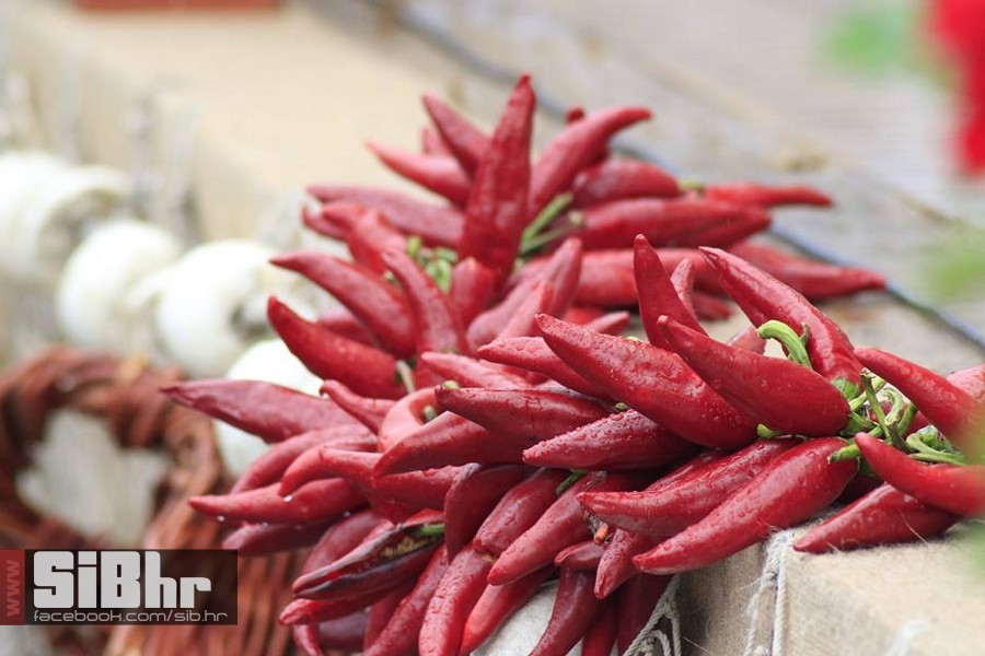 dani_ribe_SiB_hr_15 dani_ribe_SiB_hr_15