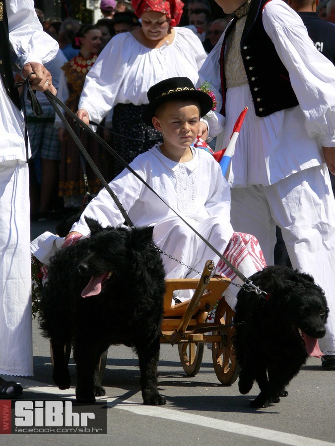 49djakovacki_vezovi_214