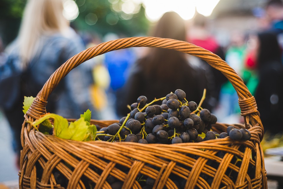 Vinski maraton u Zmajevcu
