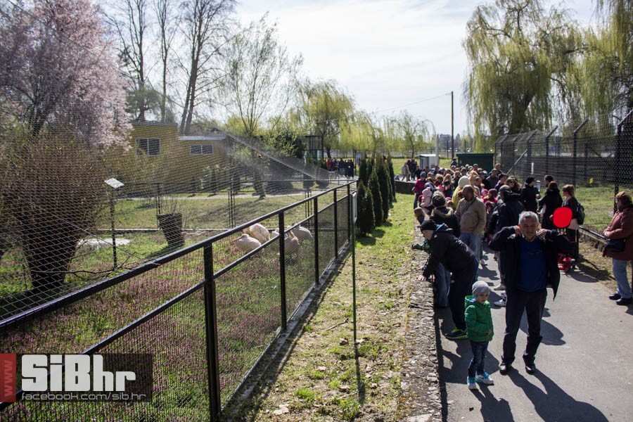 zoo_vrt_38