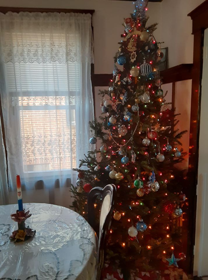 Borovi čitatelja portala SiB.hr