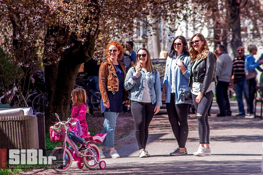 ulica_ringlova_ivica_benic_sibh