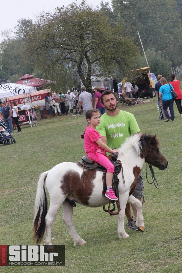 brodjanci_olimpijada_2014_SiBhr