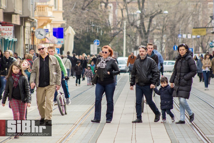 gnijezdo2015_51