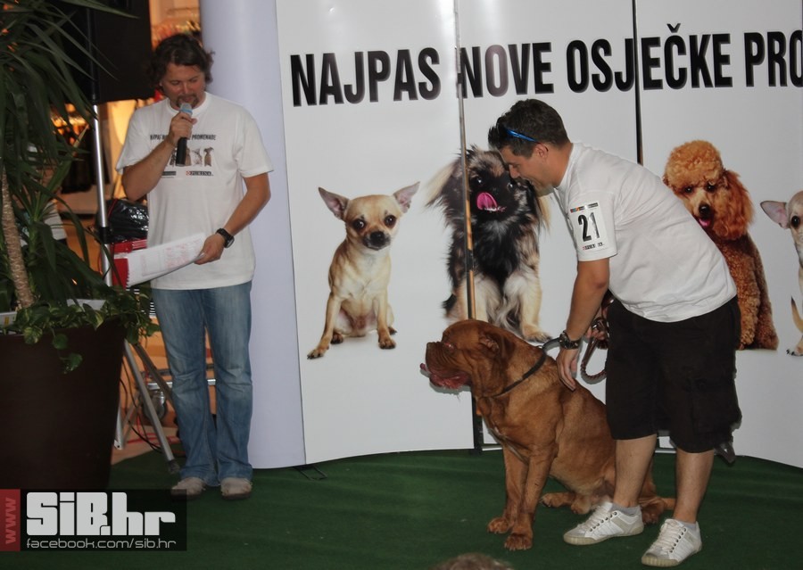 najpas_sibhr_46
