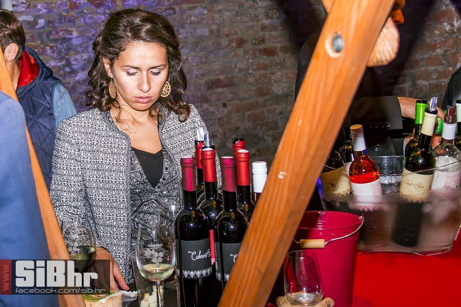 Vecer_vina_i_umjetnosti_SiB_hr-