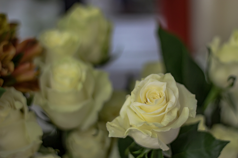 Florista