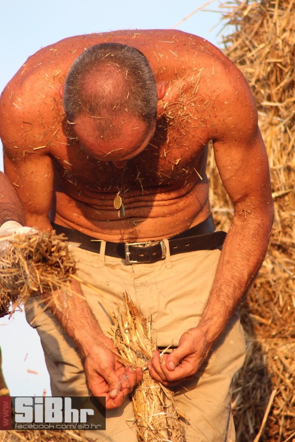 slama_dan_drugi_SiBhr_58 slama_dan_drugi_SiBhr_58