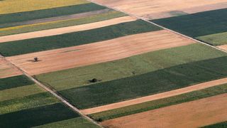 ravnica slavonija polje poljoprivreda poljoprivrednici ratarstvo ravnica slavonija polje poljoprivreda poljoprivrednici ratarstvo