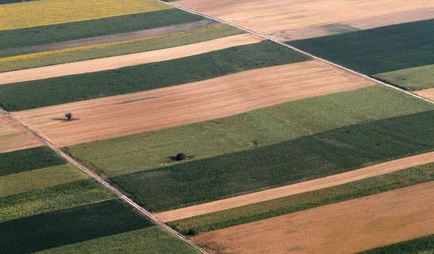 ravnica slavonija polje poljoprivreda poljoprivrednici ratarstvo