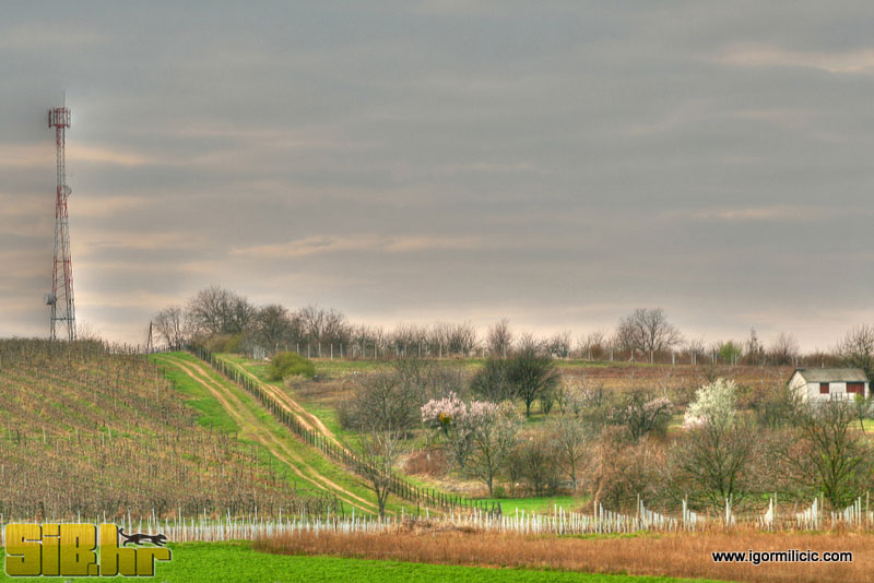 osijek_009