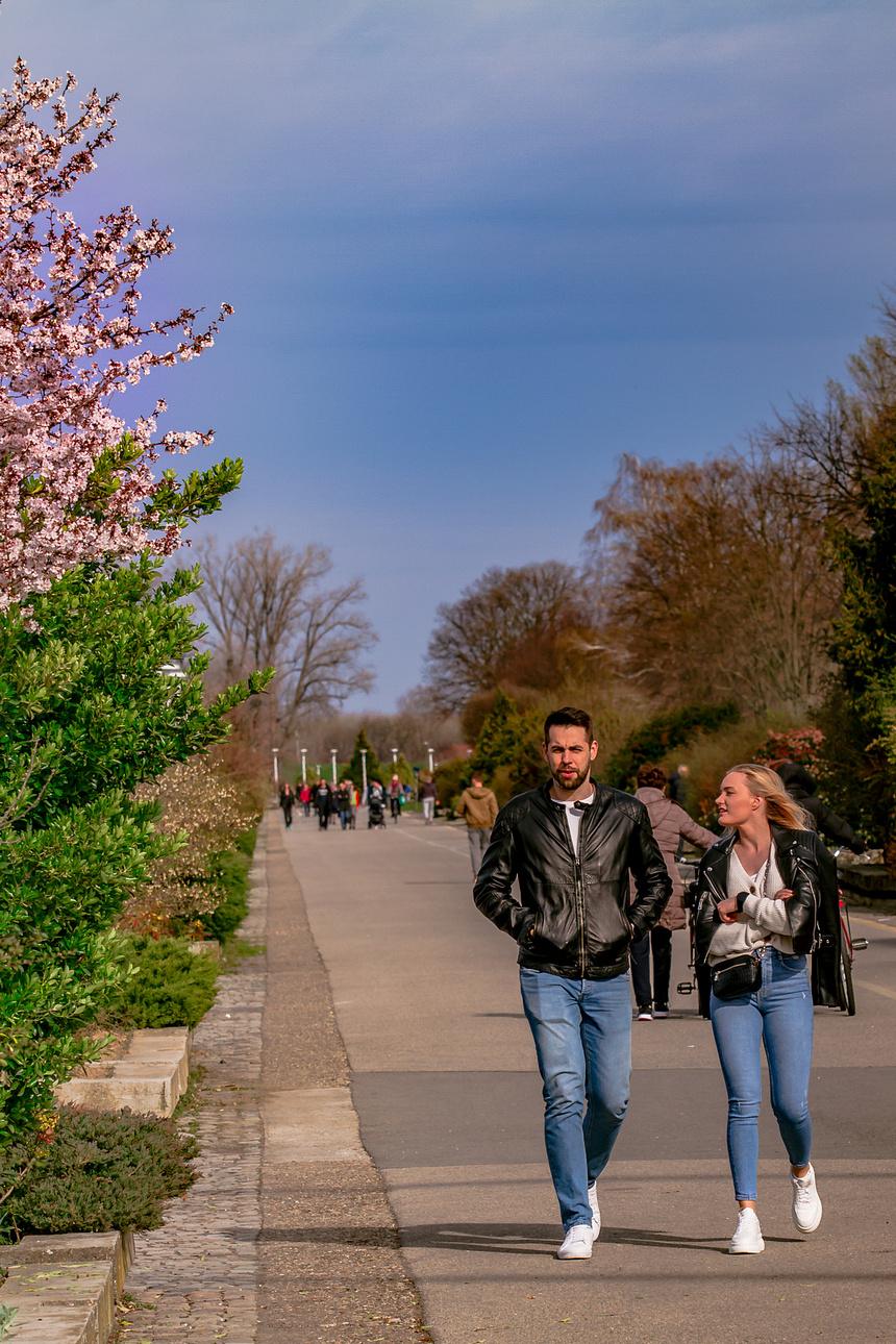 Legice i lege u nedjeljnoj šetnji [28.3.2021.]