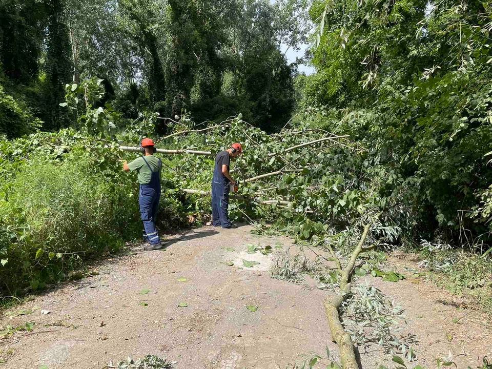 Olujni vjetar rušio drva u Osijeku