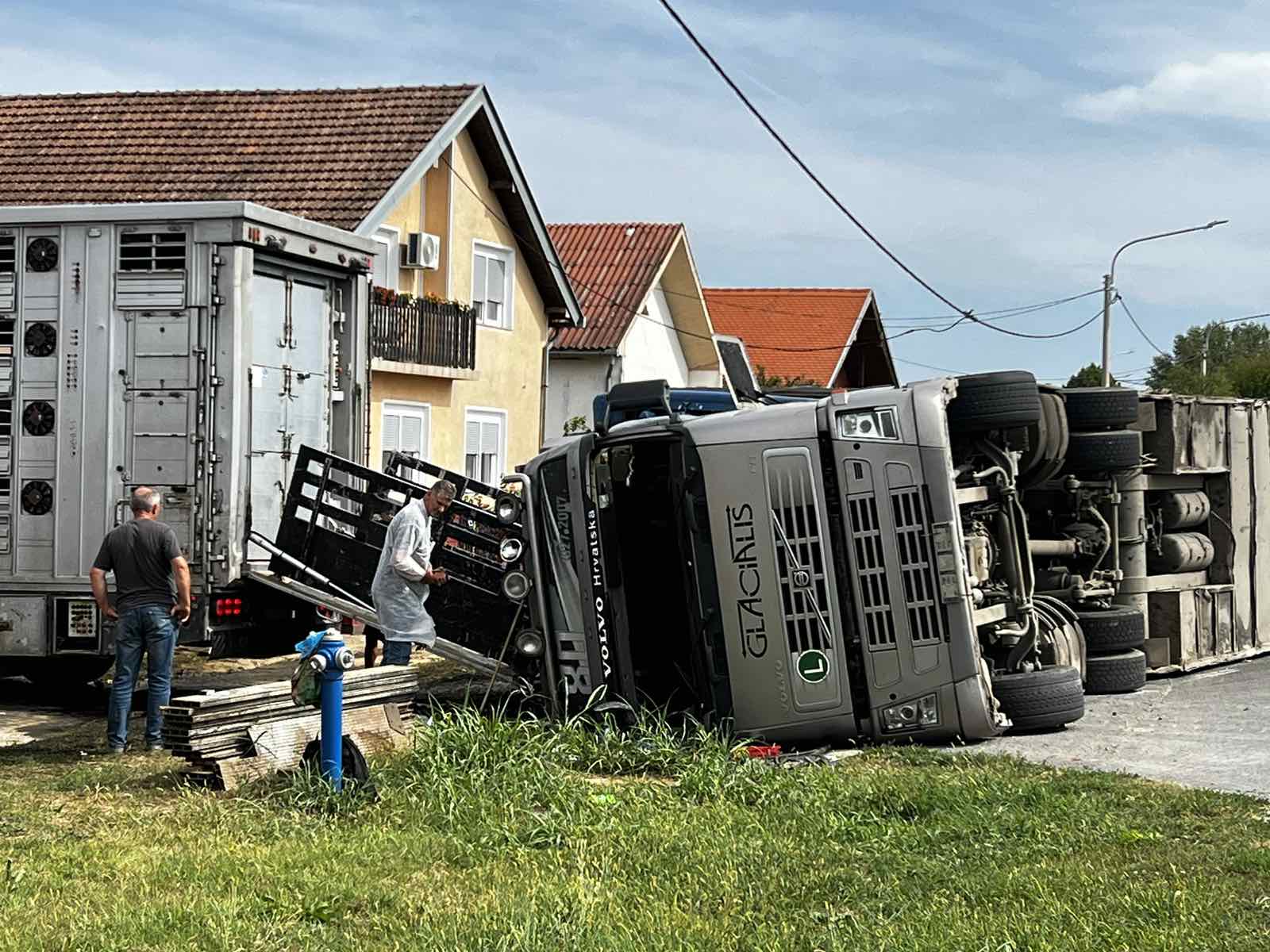 Nesreća kamiona s svinjama