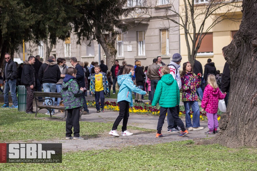 gnijezdo2015_44