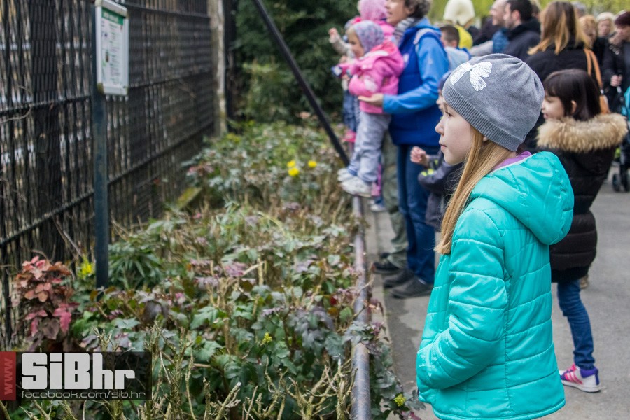 zoo_uskrs_2016_sibhr_111