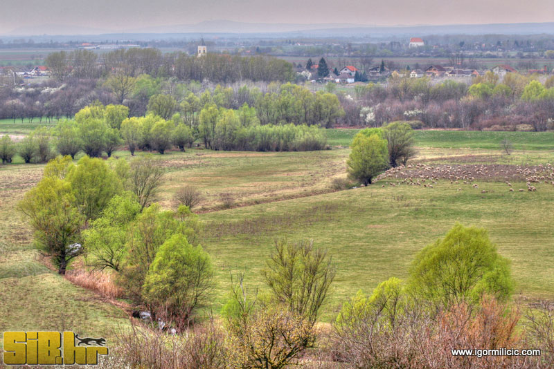 osijek_003