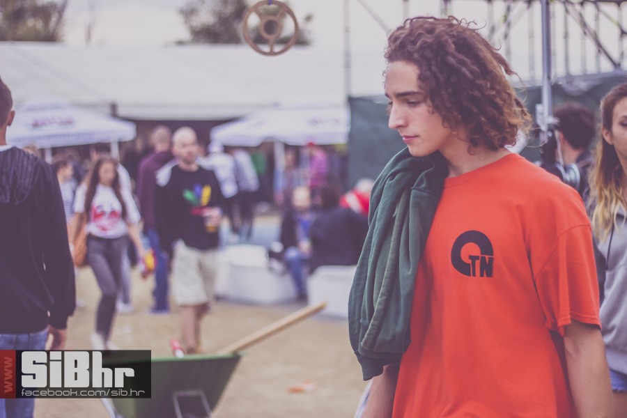 pannonian_petak2015_SiBhr12