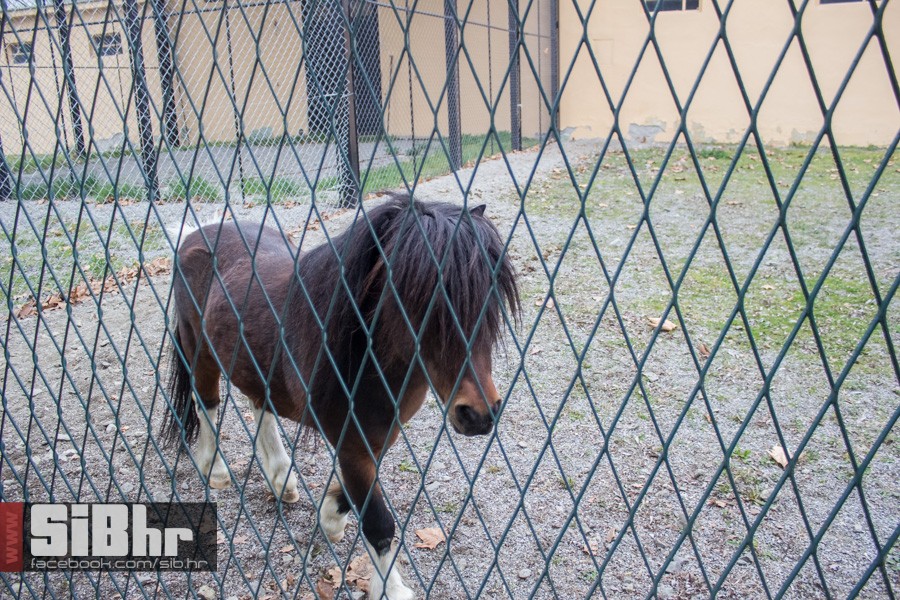 zoo_uskrs_2016_sibhr_44