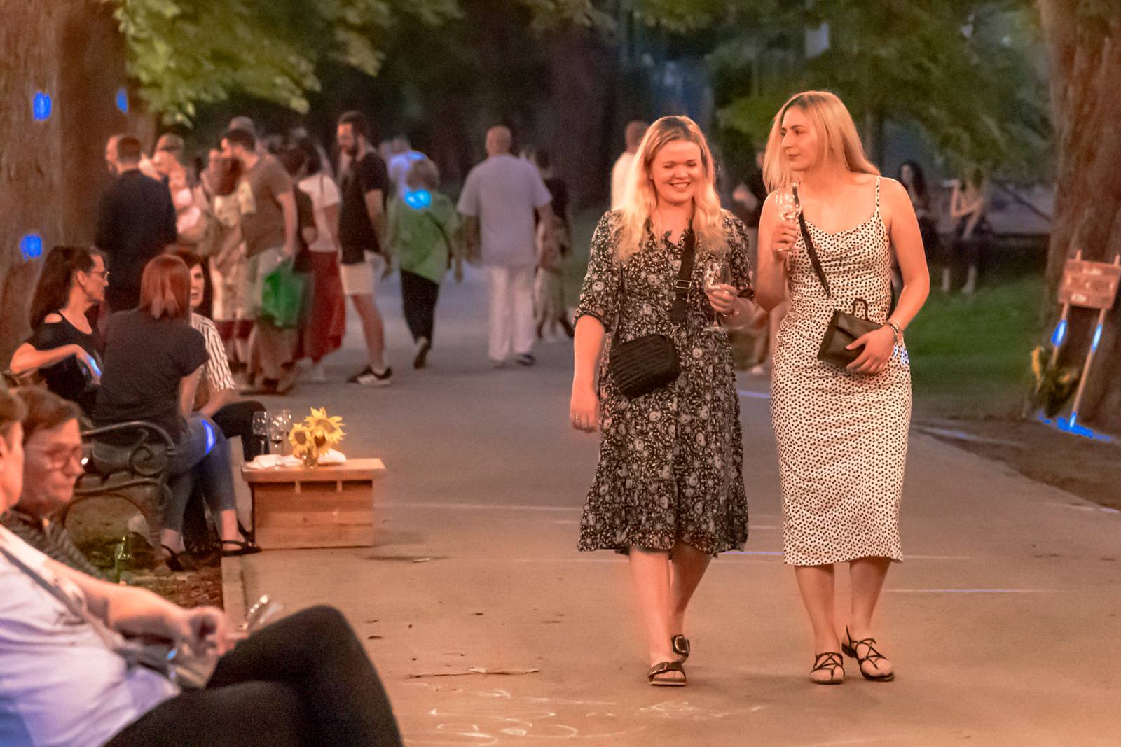 Večer vina i umjetnosti, srpanj 2024.