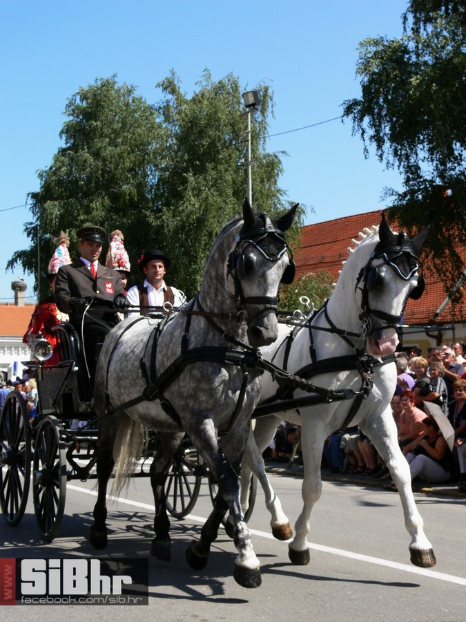 49djakovacki_vezovi_299