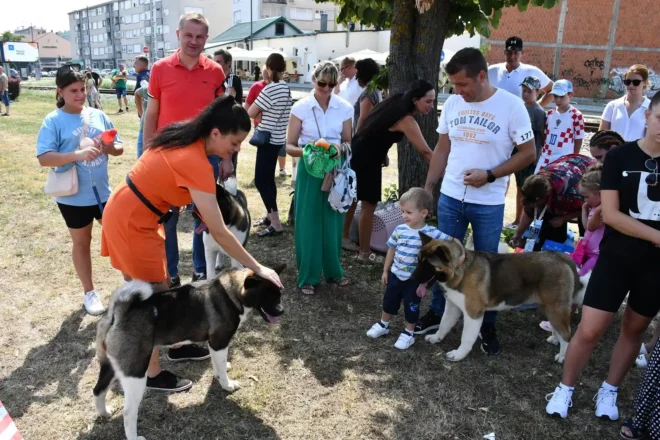 Izložba pasa CAC Požega 2024.