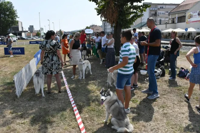 Izložba pasa CAC Požega 2024.