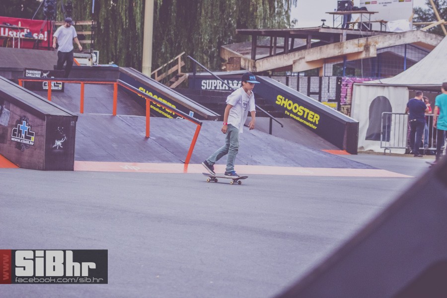 pannonian_petak2015_SiBhr26