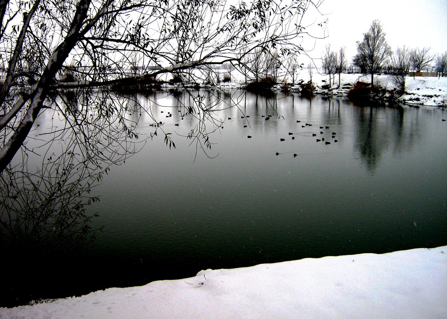 osijek_robert_marinkovic_04