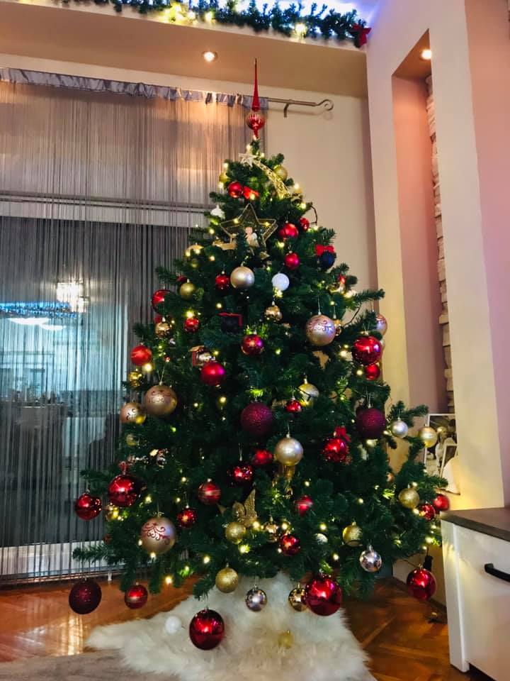 Borovi čitatelja portala SiB.hr
