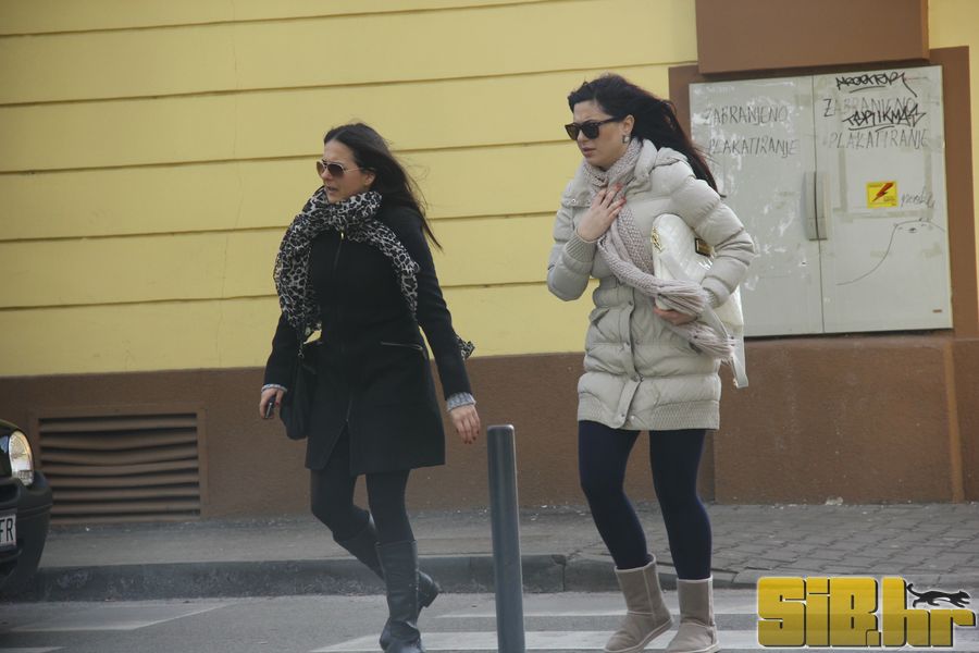 setnja_gradom_7_1_2012_sibhr_54