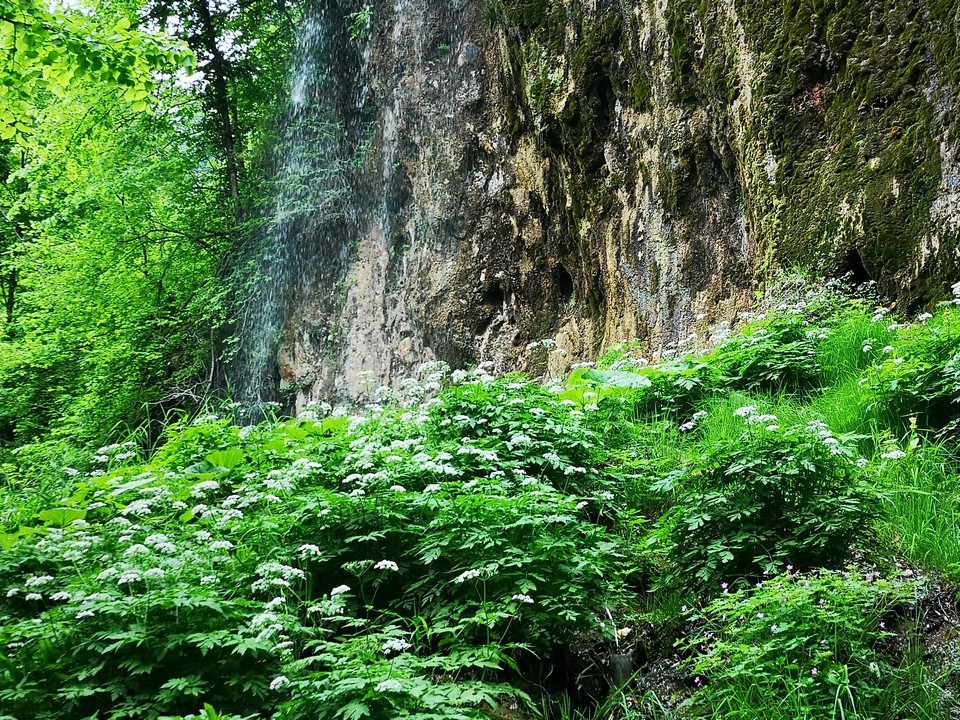 Park prirode Papuk