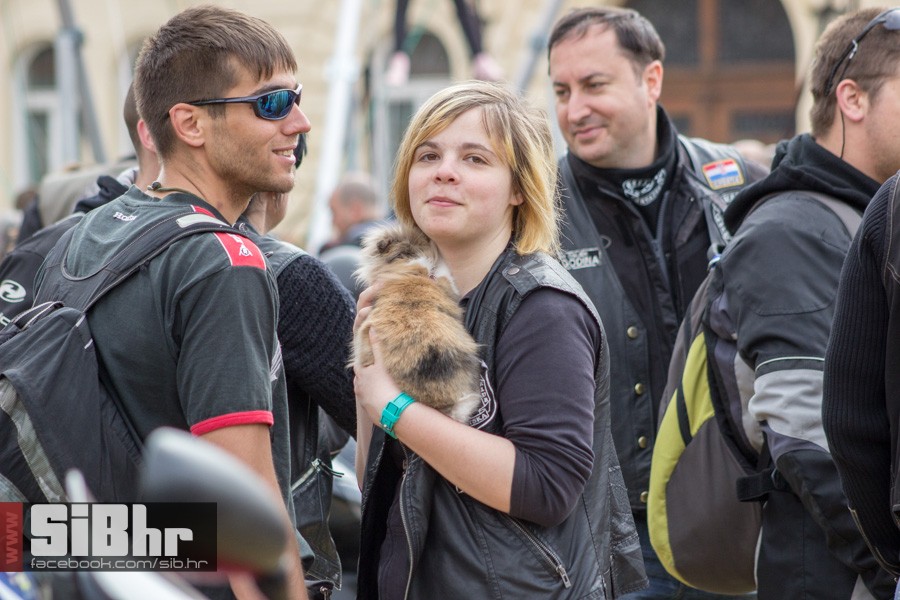 gnijezdo2015_42